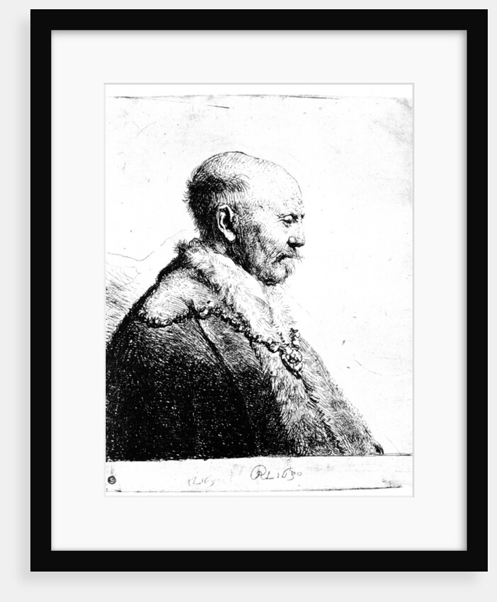 Portrait of a bald-headed man, 1630 by Rembrandt Harmensz. van Rijn