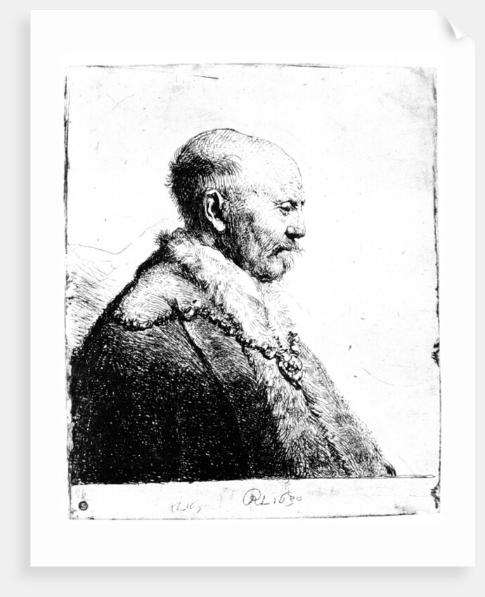 Portrait of a bald-headed man, 1630 by Rembrandt Harmensz. van Rijn