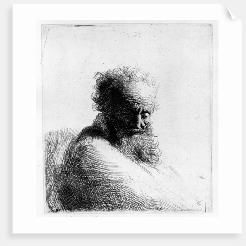 Head of an old man, 1631 by Rembrandt Harmensz. van Rijn