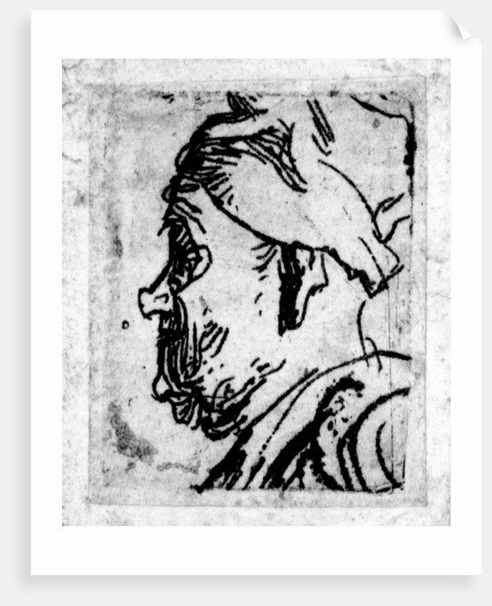 Old man with a snub nose, c.1629 by Rembrandt Harmensz. van Rijn