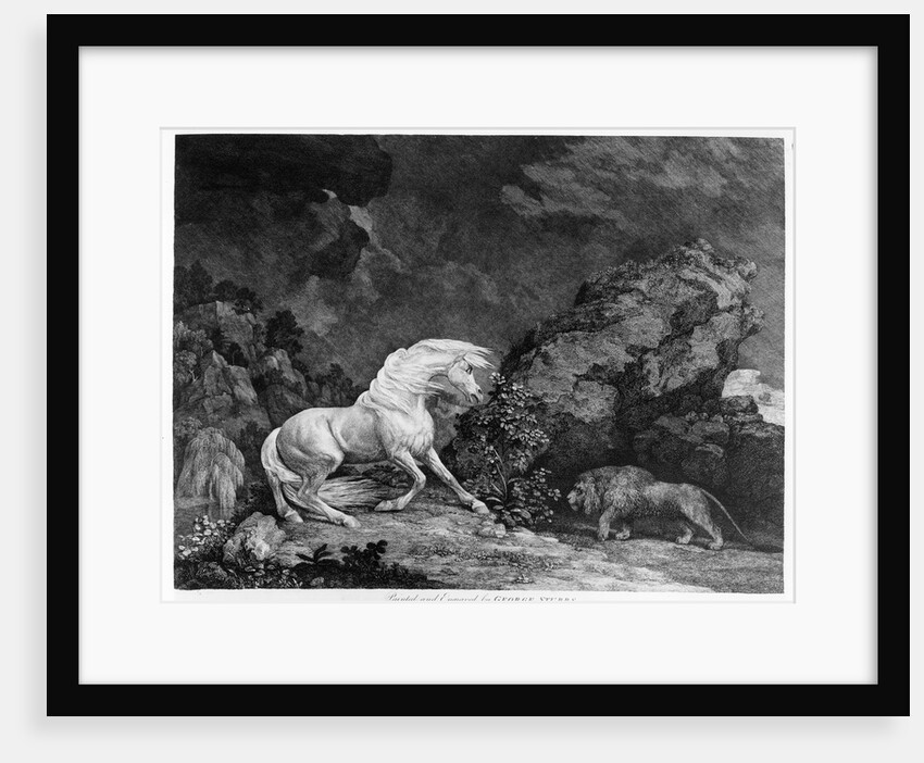 A Horse Affrighted by a Lion by George Stubbs