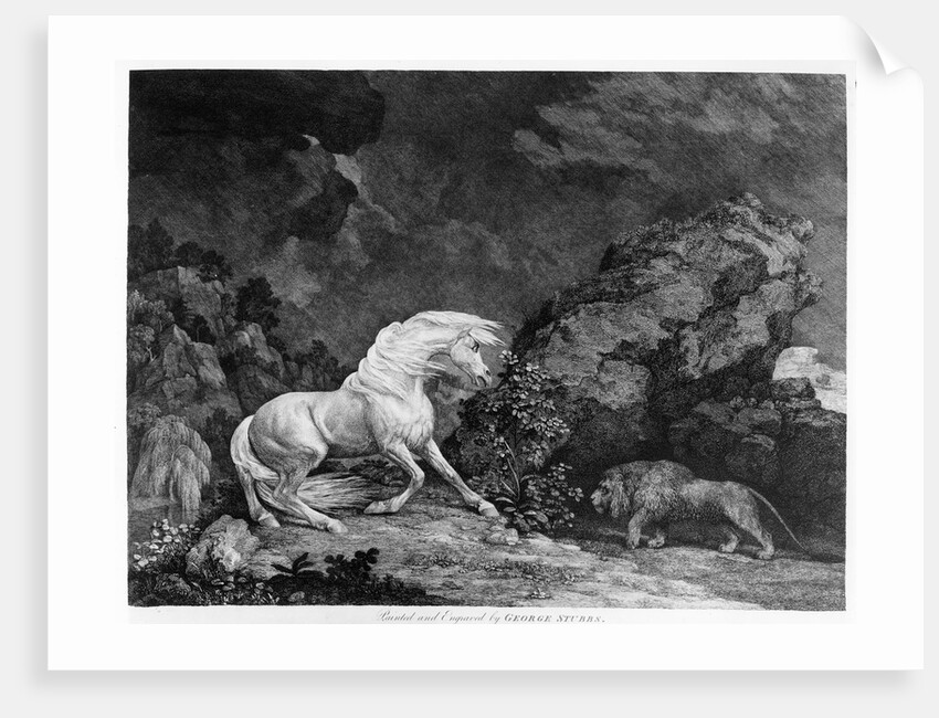 A Horse Affrighted by a Lion by George Stubbs