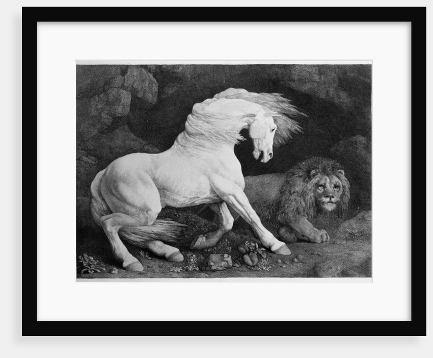 A Horse Affrighted by a Lion, engraved by the artist, 1788 by George Stubbs