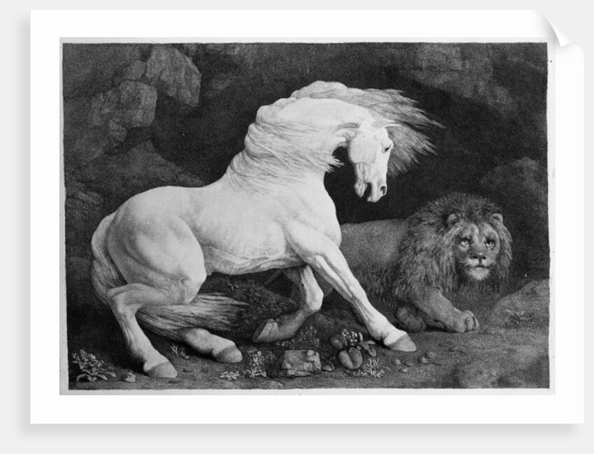 A Horse Affrighted by a Lion, engraved by the artist, 1788 by George Stubbs