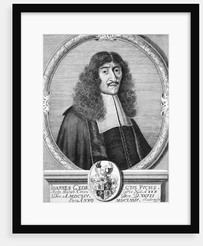 Johann Georg Fuchs by German School