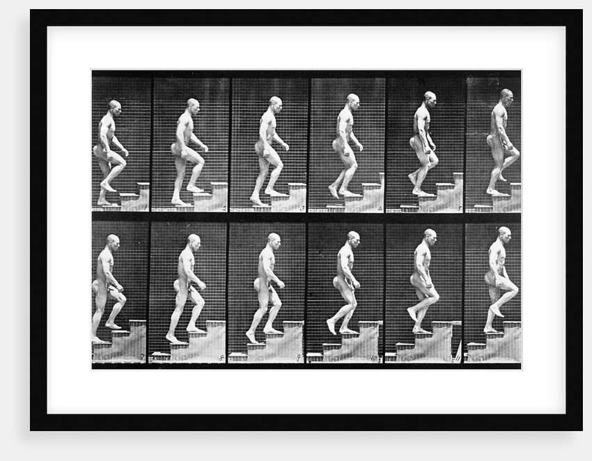 Man ascending stairs by Eadweard Muybridge
