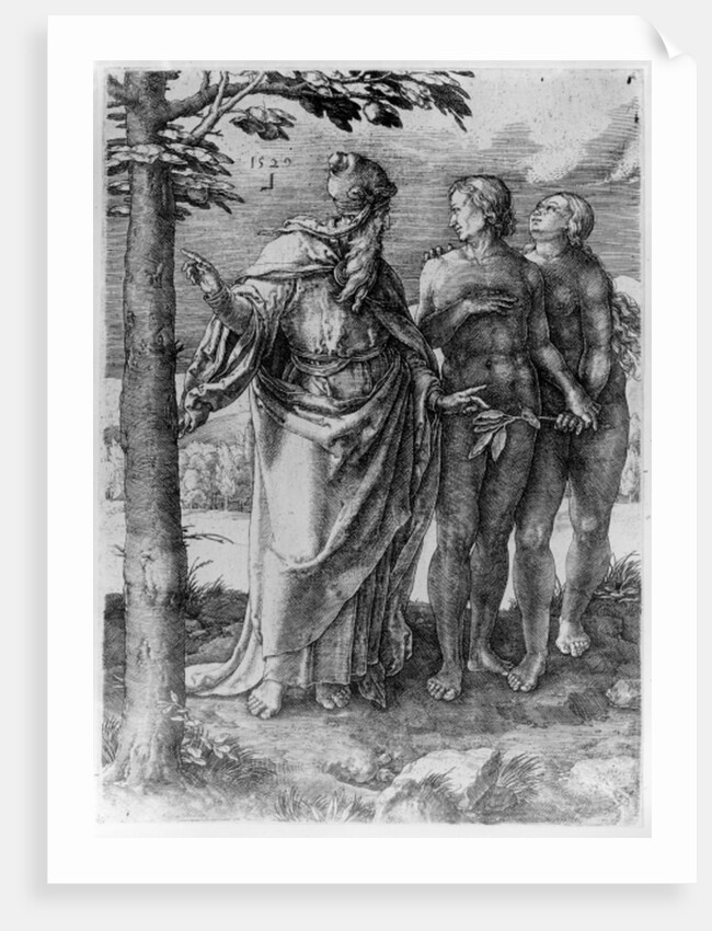 The First Prohibition, 1529 by Lucas van Leyden