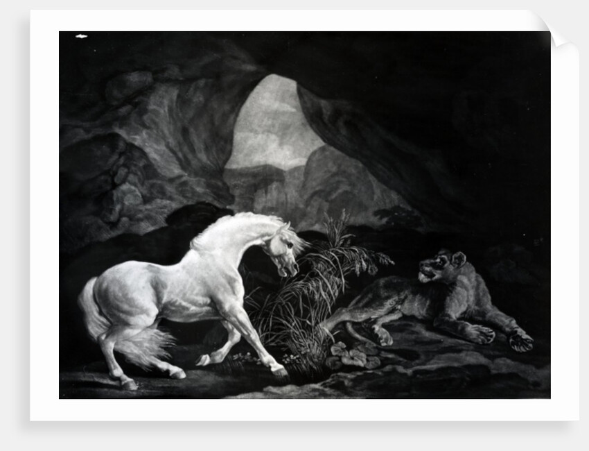 A Horse startled by a Lioness, engraved by Benjamin Green, 1774 by George (after) Stubbs