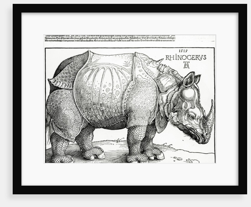 The Rhinoceros, 1515 by Albrecht Dürer or Duerer