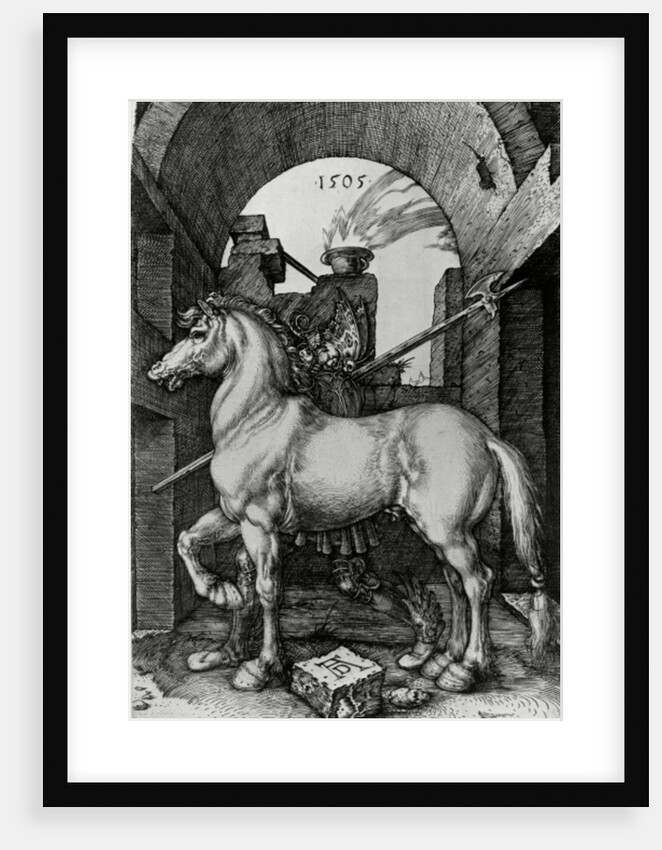 The Small Horse by Albrecht Dürer or Duerer