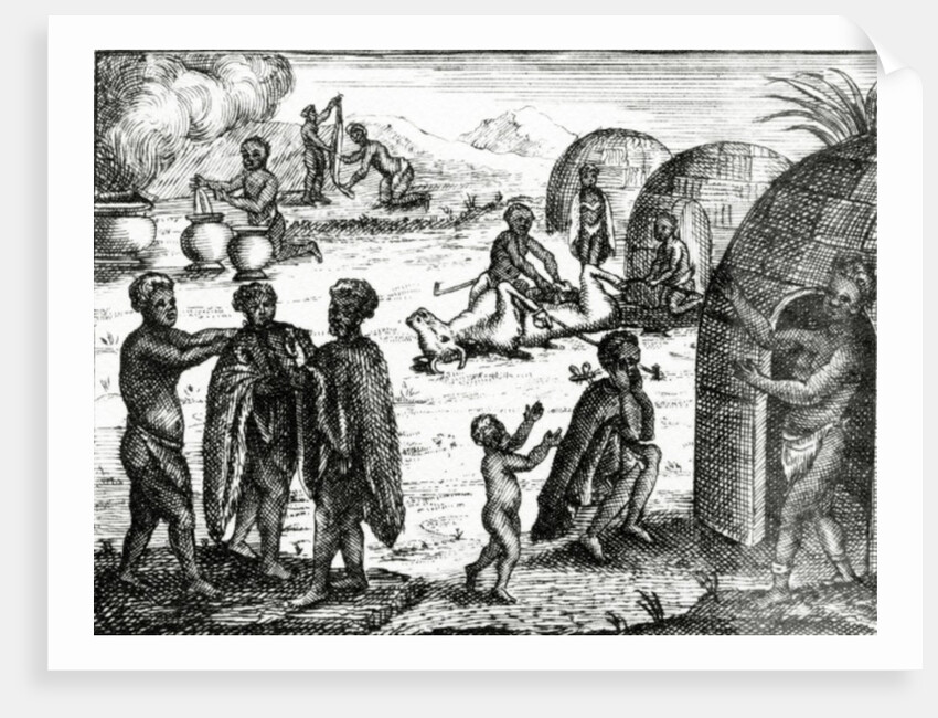 The Hottentots adore a certain insect by English School