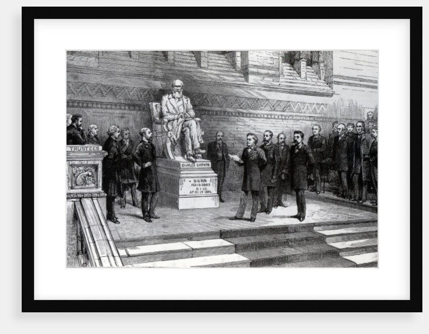 Unveiling the statue of the late Charles Darwin in the Natural History Museum, South Kensington, 9th June 1885 by English School