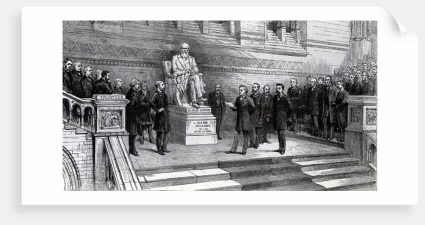 Unveiling the statue of the late Charles Darwin in the Natural History Museum, South Kensington, 9th June 1885 by English School