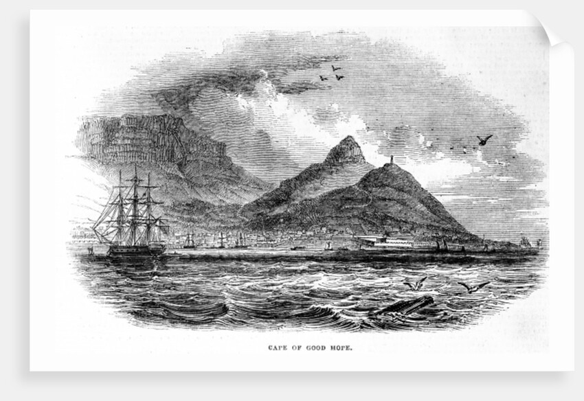 Cape of Good Hope by English School