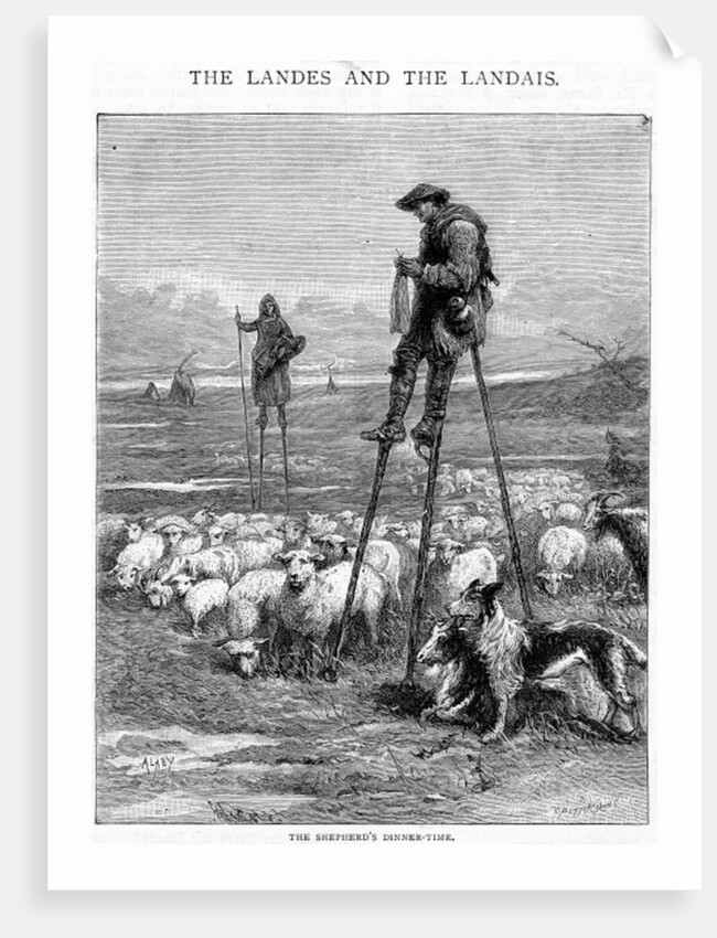 The Shepherd's Dinner-time by Auguste Francois Laby