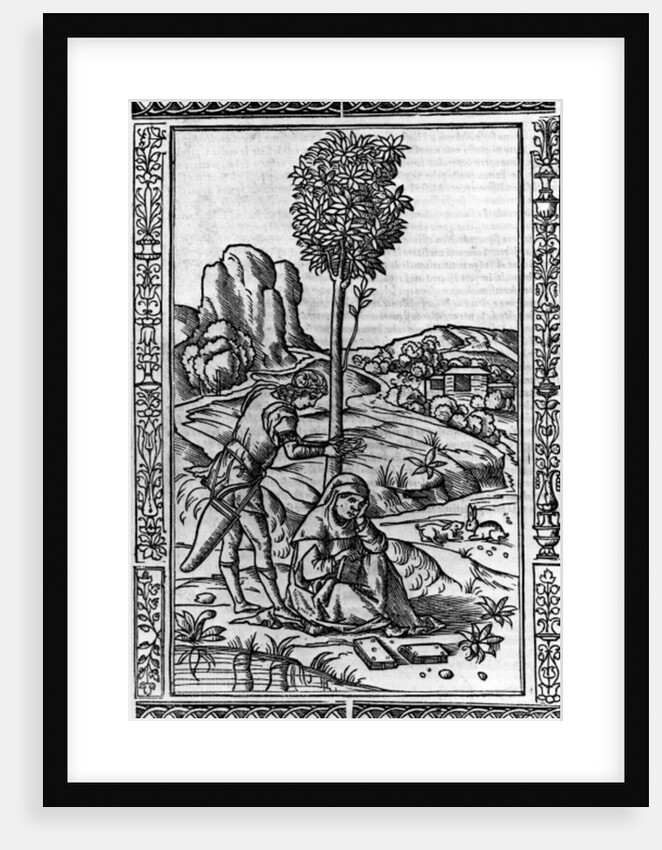 Frontispiece for a book of poems by Francesco Petrarch by Italian School