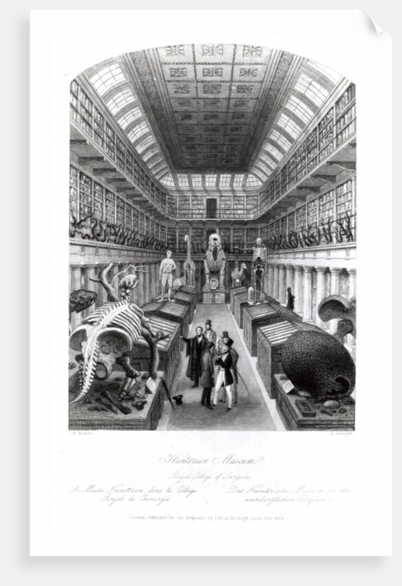 The Hunterian Museum by Thomas Hosmer Shepherd