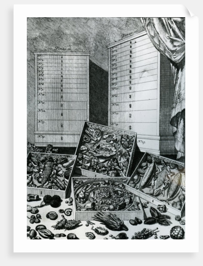 Table VII from 'Elenchus Tabularum' by Levinus Vincent, published 1719 by Dutch School