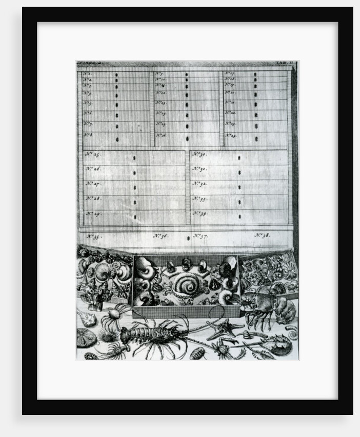 Table II from 'Elenchus Tabularum' by Levinus Vincent, published 1719 by Dutch School