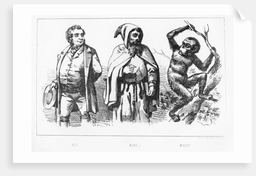 Man Monk Monkey by English School