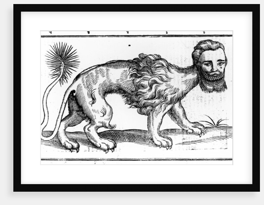 Manticore from 'Historie of Foure-Footed Beastes' by Edward Topsell, published 1607 by Edward Topsell