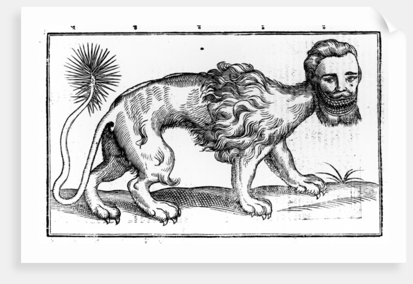 Manticore from 'Historie of Foure-Footed Beastes' by Edward Topsell, published 1607 by Edward Topsell