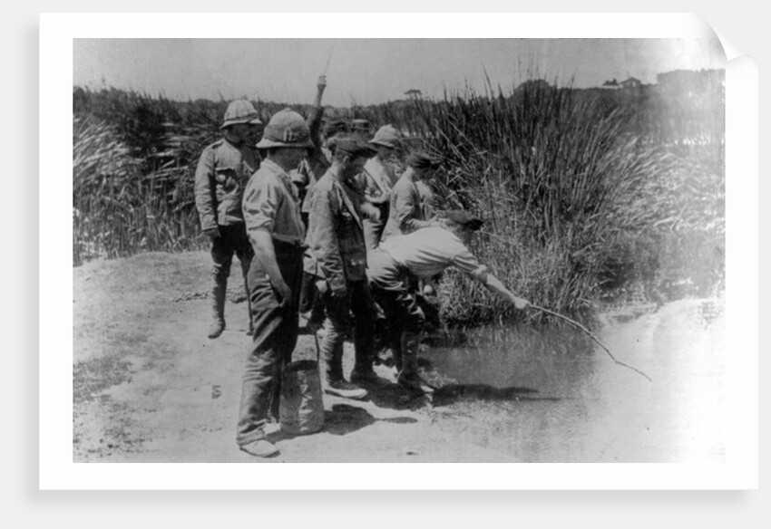 Off duty soldiers during WWI, fishing for sticklebacks by English Photographer