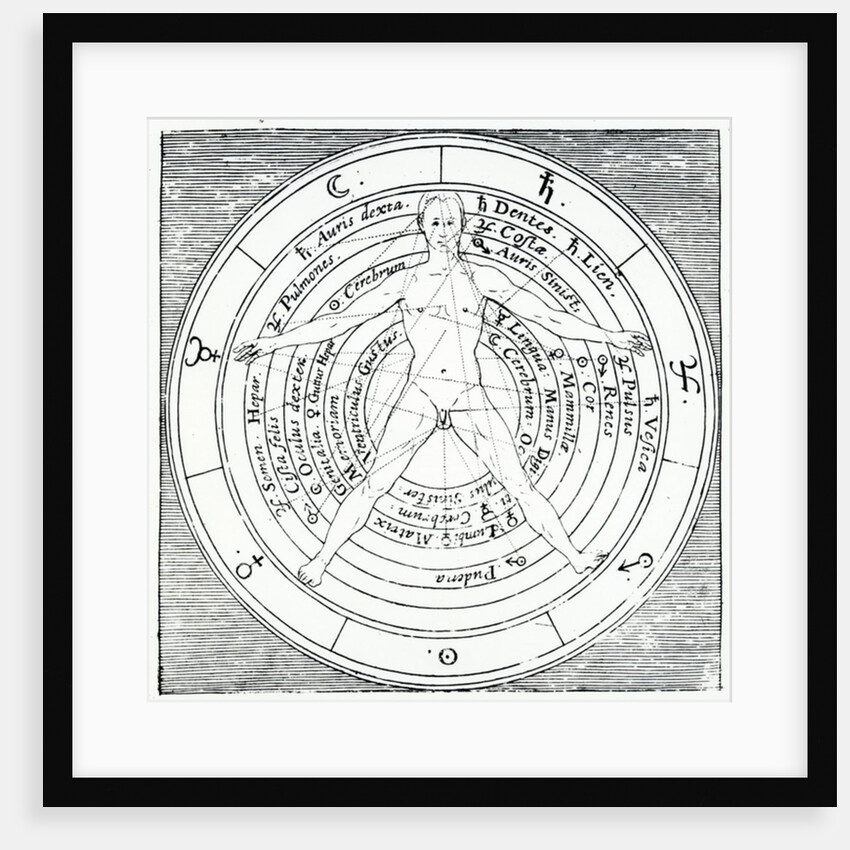 Vitruvian figure by English School