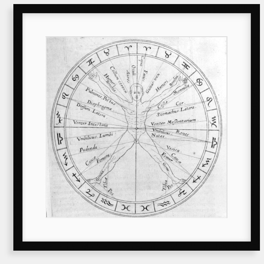 The science of casting horoscopes by English School