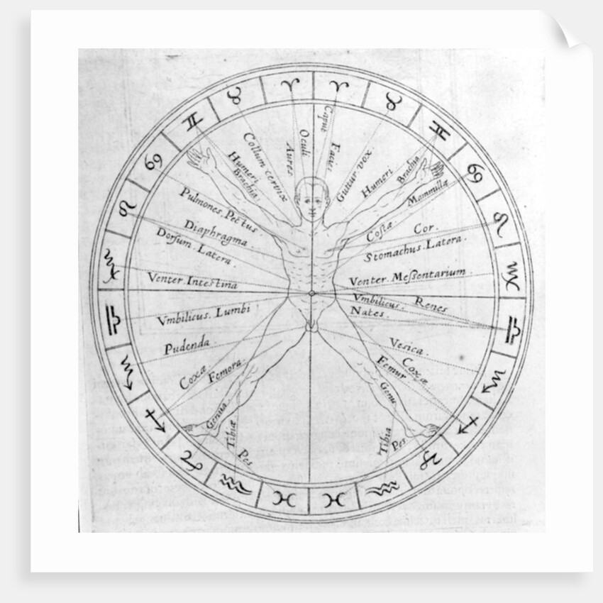 The science of casting horoscopes by English School