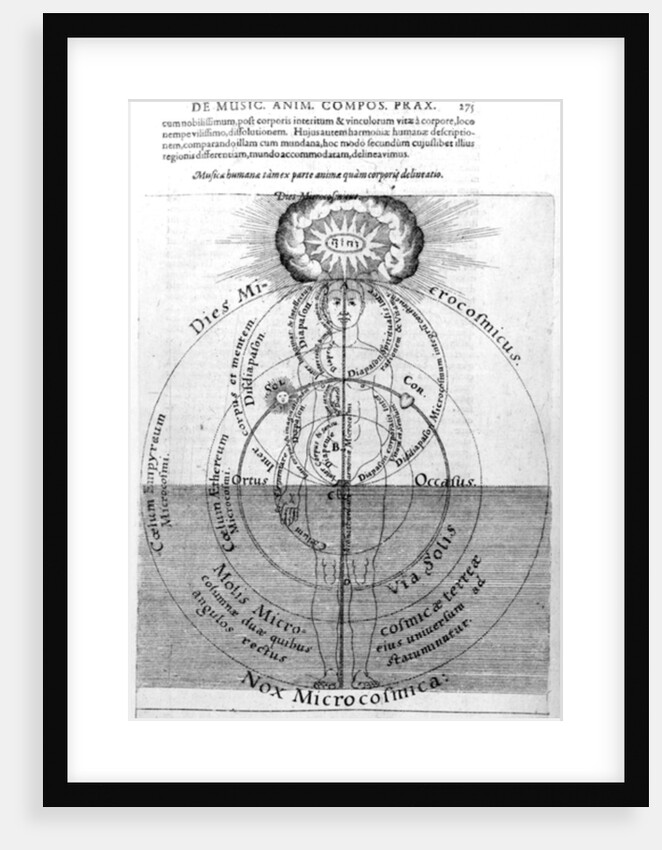 The day and night of the Microcosm by English School