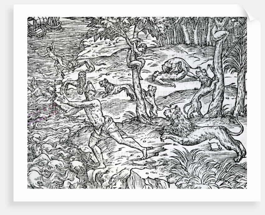 Lions attacking and eating humans by Jean the Younger Cousin