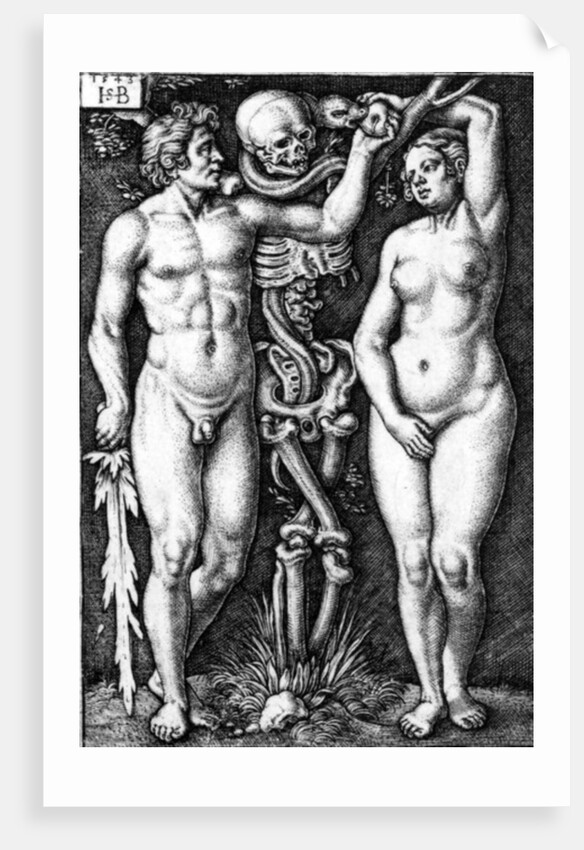 Adam and Eve by Barthel Beham