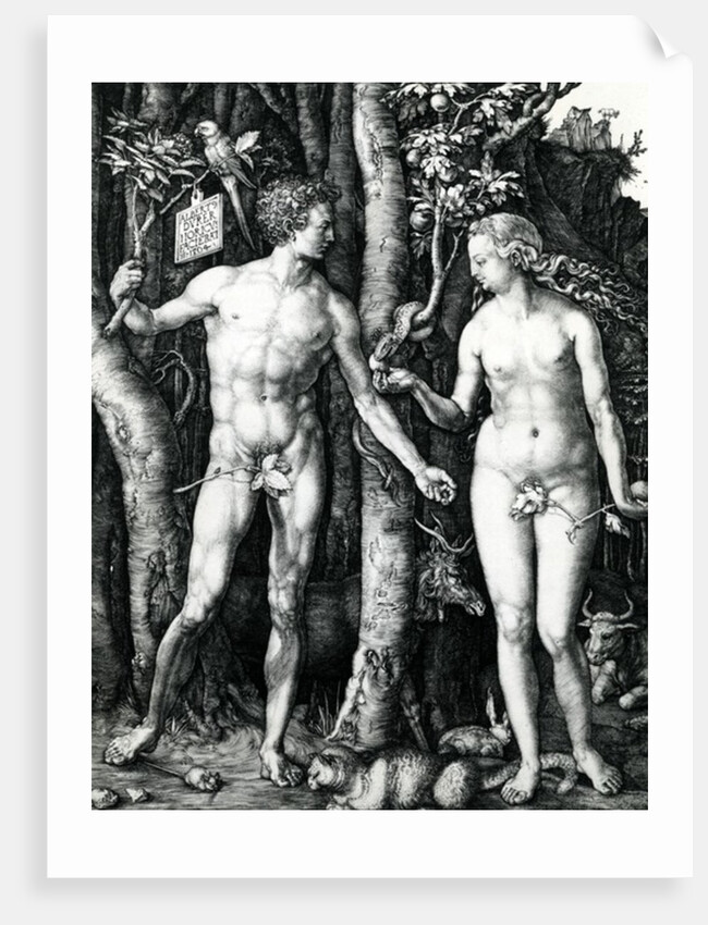Adam and Eve, 1504 by Albrecht Dürer or Duerer
