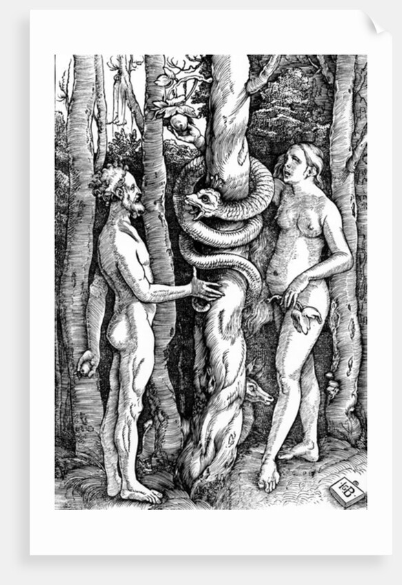 The Fall of Man, c.1514 by Hans Baldung Grien
