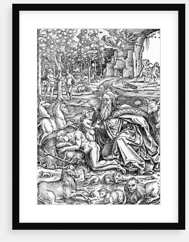 The Creation of Eve by Hans Brosamer