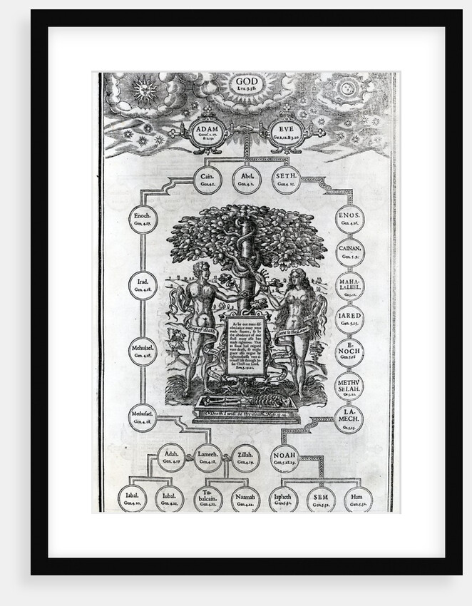 Adam and Eve's Family Tree, 1556 by English School