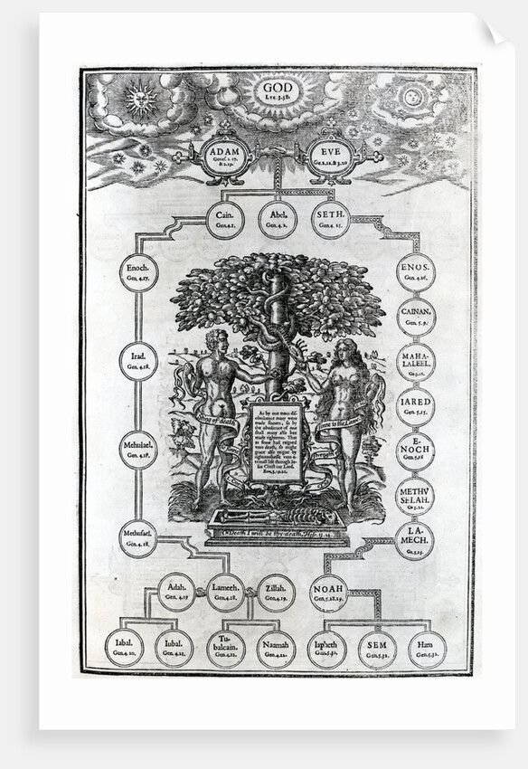 Adam and Eve's Family Tree, 1556 by English School