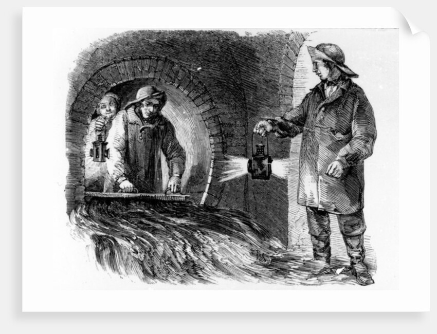 Flushing the Sewers by English School