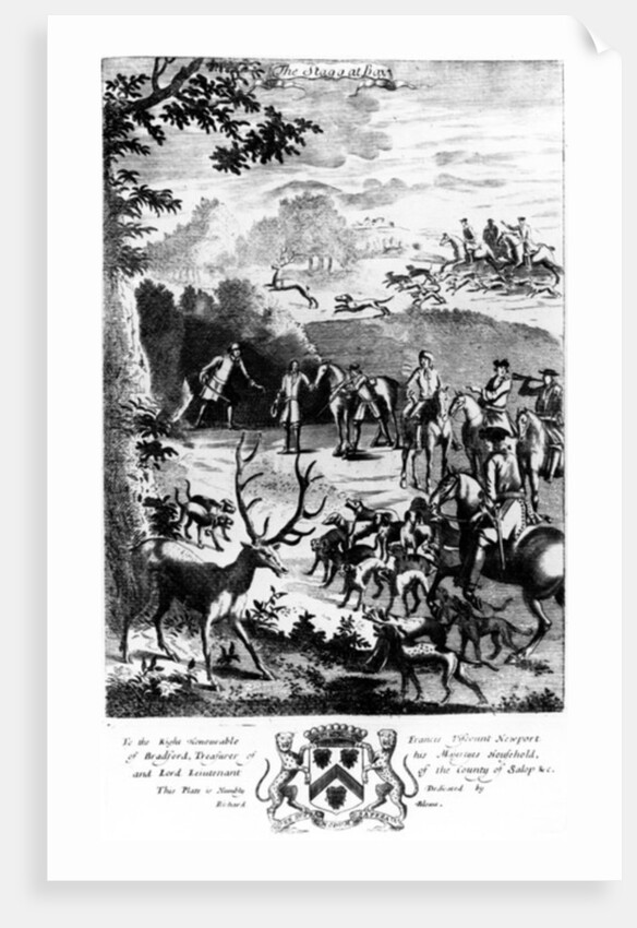 The Stagg at Bay by English School