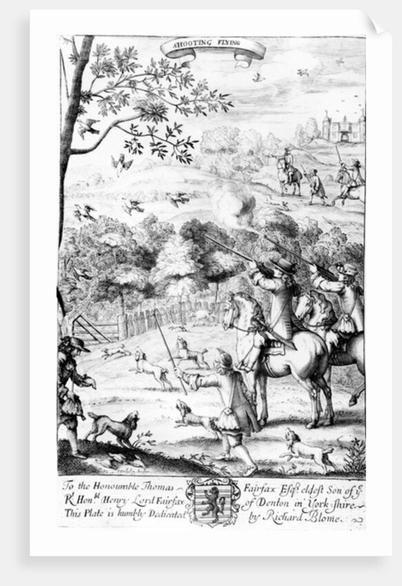 Shooting Flying by English School