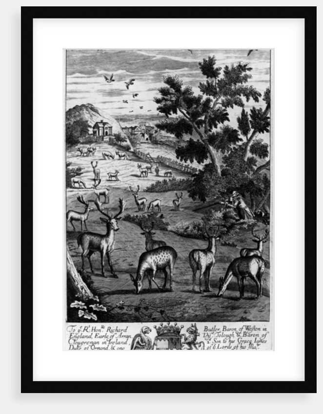 A keeper choosing out of the herd a fat buck to be shot and run down by English School