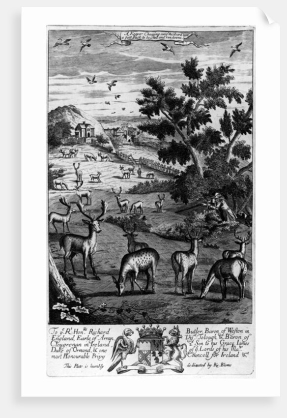 A keeper choosing out of the herd a fat buck to be shot and run down by English School