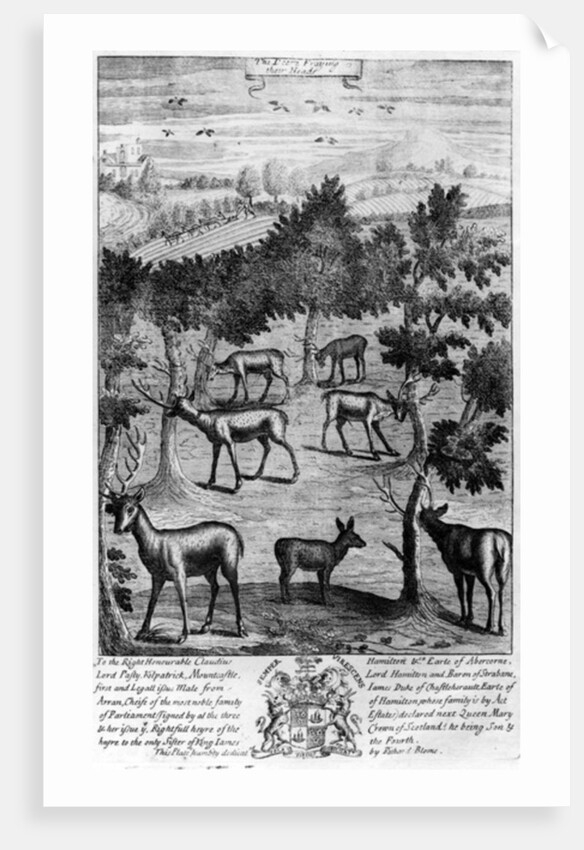 The deer fraying their heads by English School