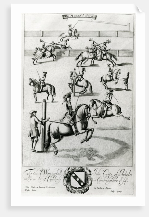 The Manag'd Horse by English School