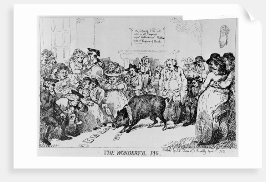 The Wonderful Pig, 1785 by Thomas Rowlandson