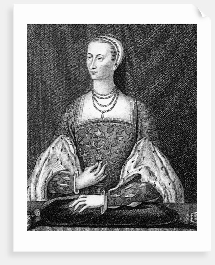 Mary of Guise by English School