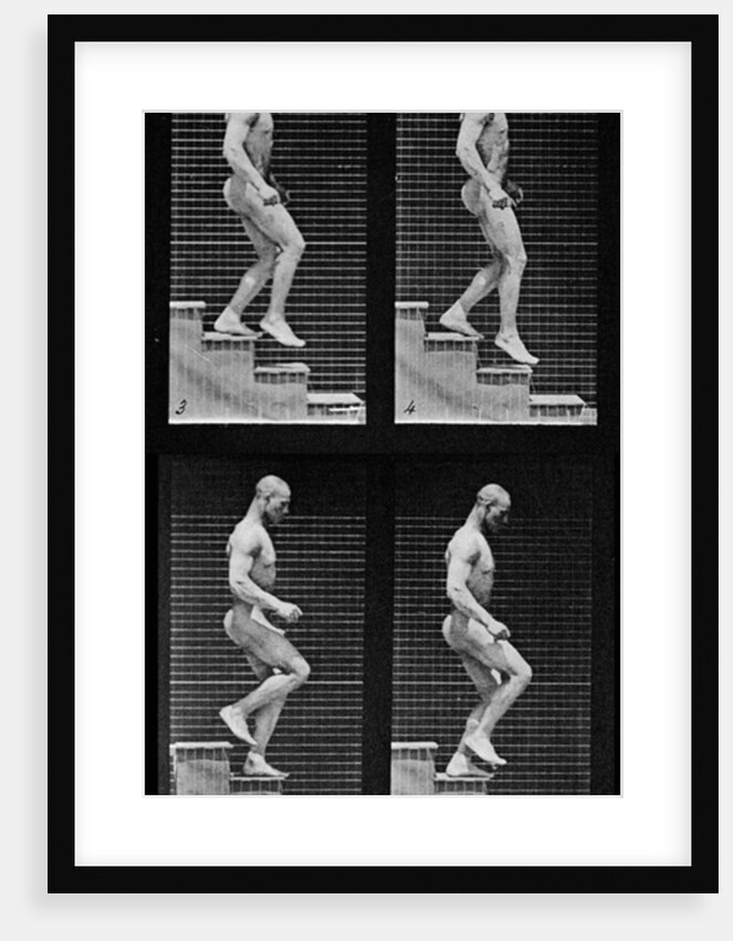 Man descending stairs by Eadweard Muybridge