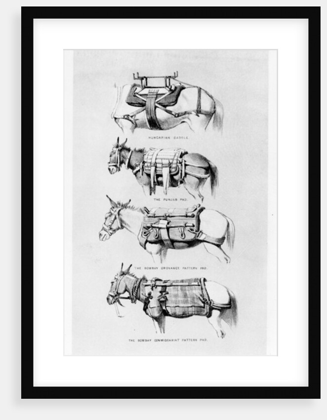 Saddles and Pads Used by the Abyssinian Field Force by Henry James