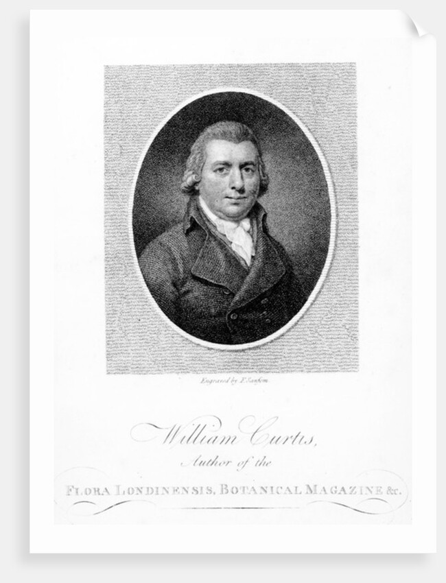 William Curtis, engraved by F. Sansom, 1790 by (after) English School